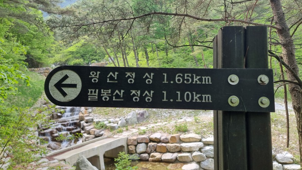 산청 필봉산 & 왕산 등산, 한방자연휴양림 최단코스 산행