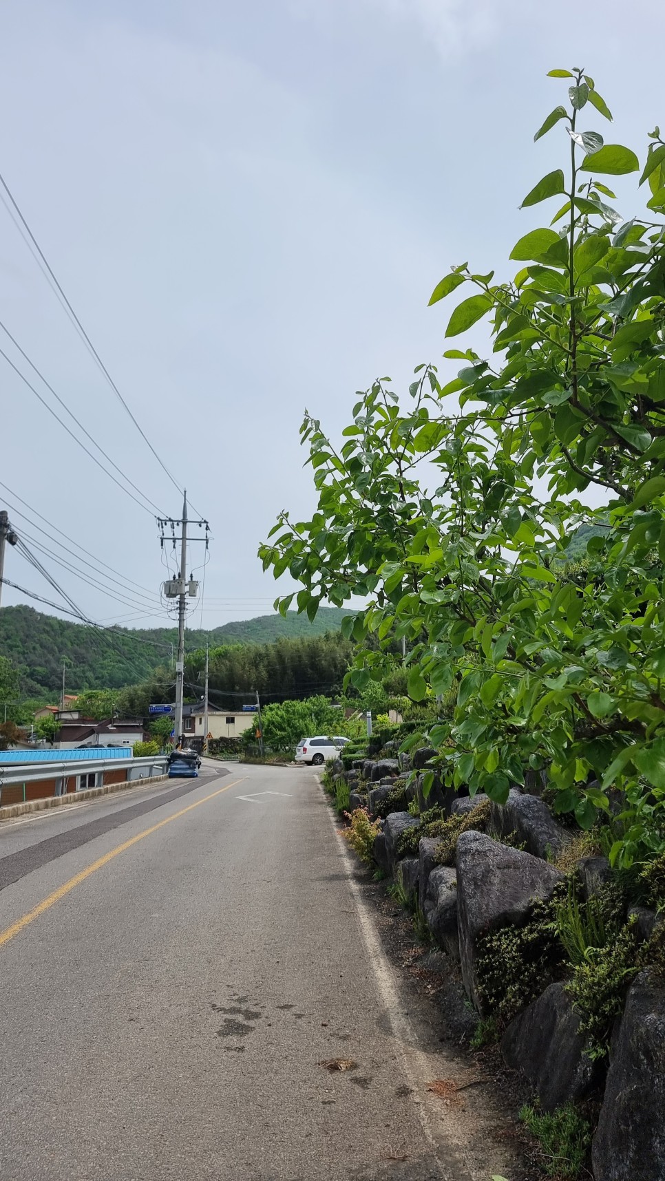 웅석봉 등산, 어천마을 원점회귀 최단코스 산행