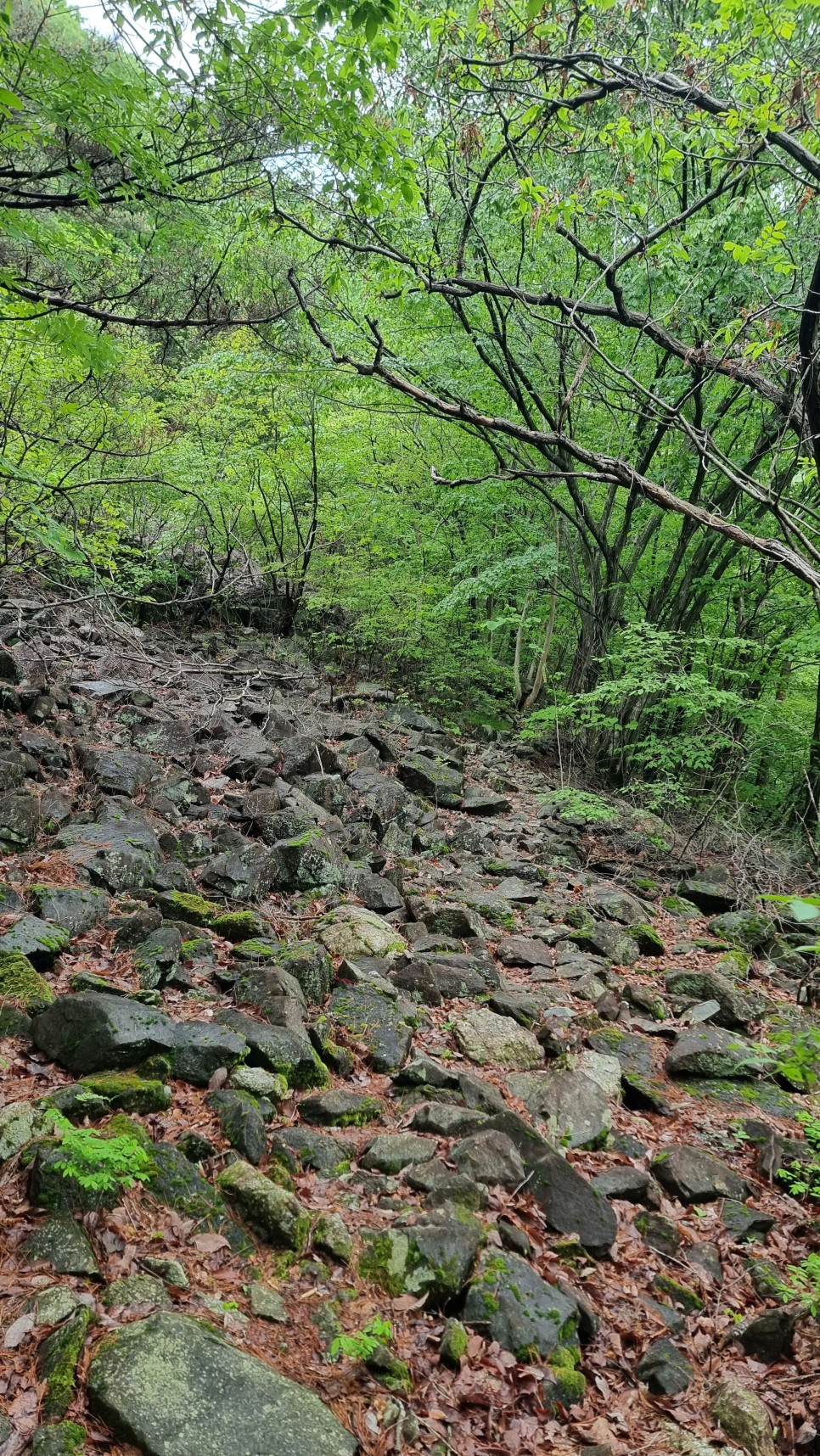 웅석봉 등산, 어천마을 원점회귀 최단코스 산행