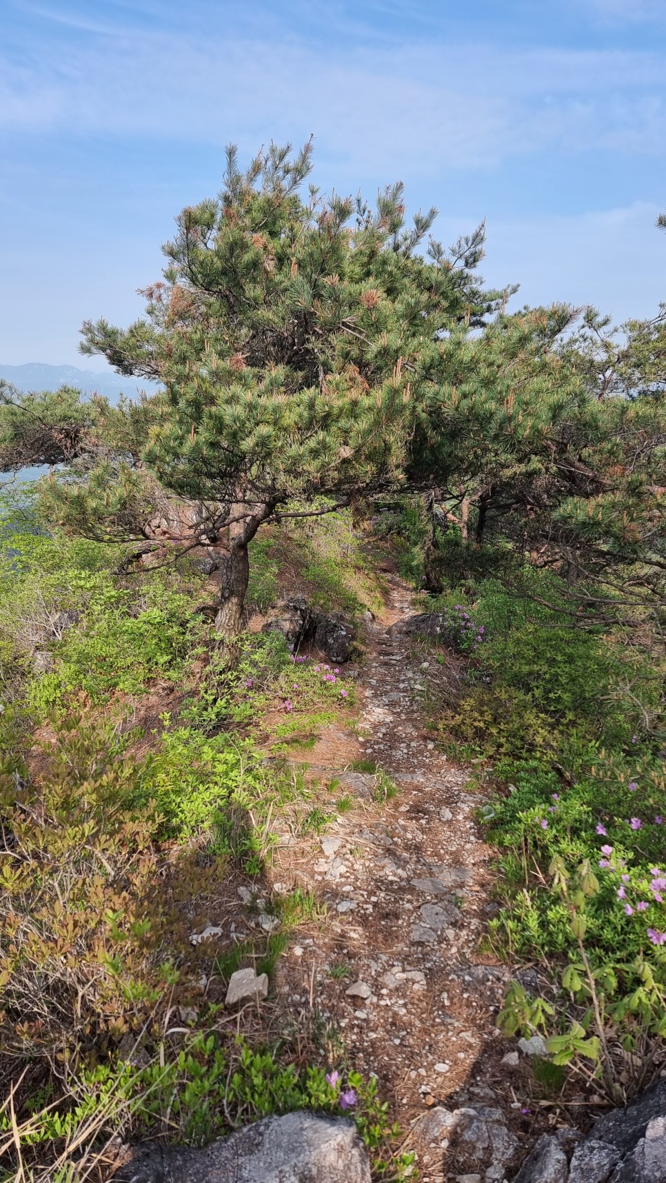 산청 필봉산 & 왕산 등산, 한방자연휴양림 최단코스 산행