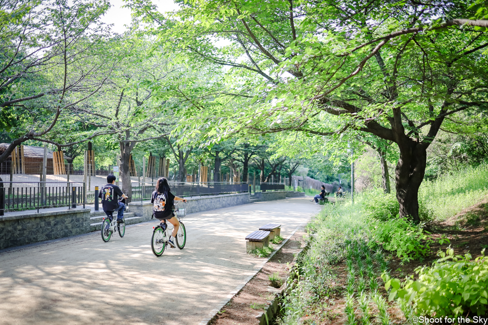 성수동 서울숲 자전거 돗자리 피크닉 숲길 작약꽃밭 데이트 놀거리