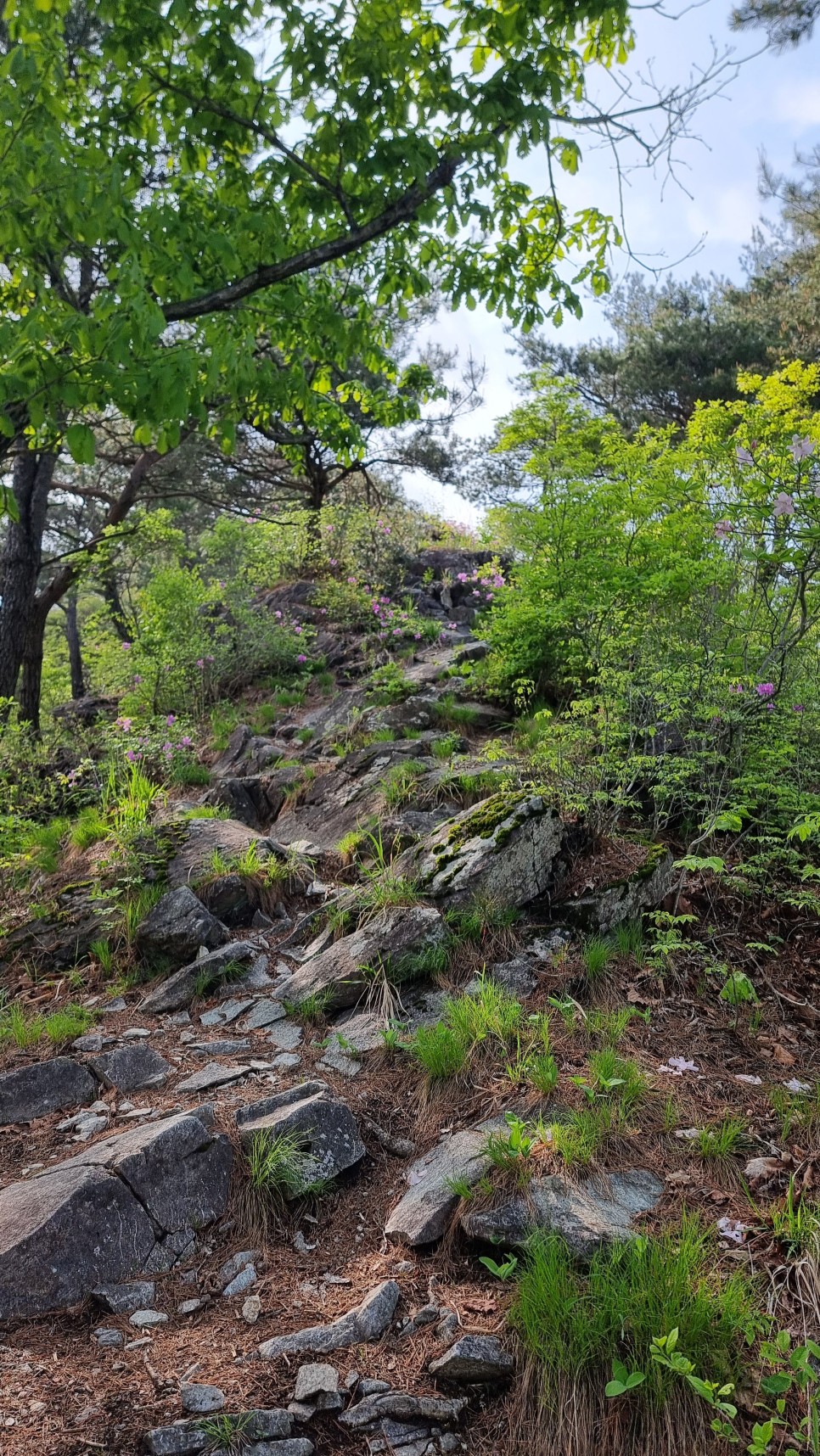 산청 필봉산 & 왕산 등산, 한방자연휴양림 최단코스 산행