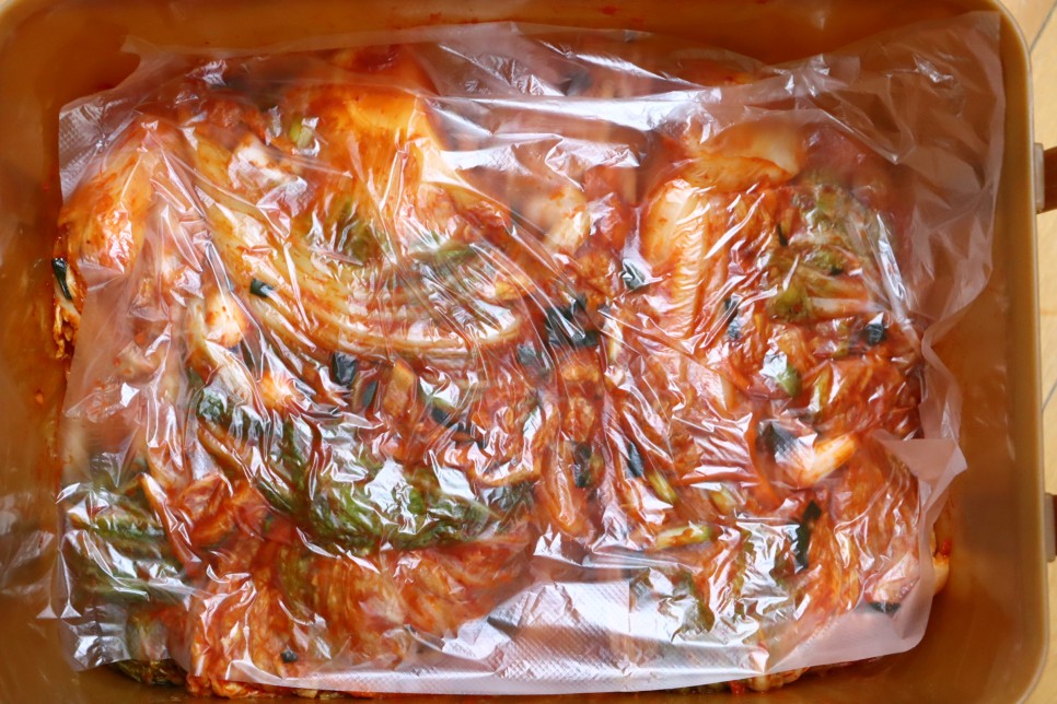 봄 배추김치 담그는법 배추 3포기 만능 배추김치 양념 배추김치 담그기