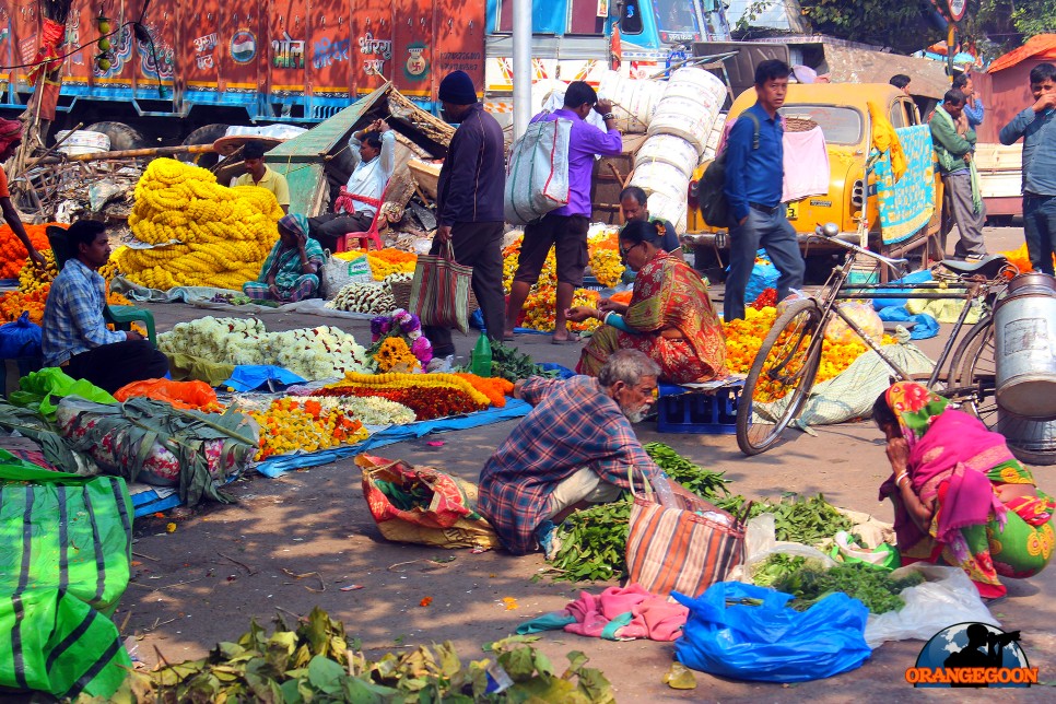 (인도 콜카타 / 물리크 가트 꽃 시장) 아시아 최대 규모의 꽃시장은 바로 콜카타에 있습니다. 다리 밑을 온통 노랗게 물들이는 물리크 가트 꽃 시장의 진풍경