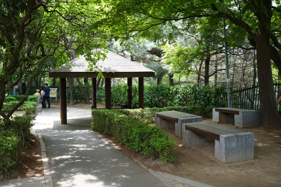 인천 수봉공원 인천 산책하기 좋은 공원 다녀왔어요