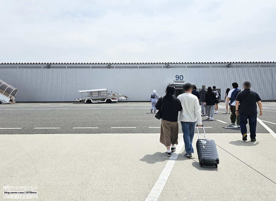 피치항공 후기 오사카 난카이 라피트 예약 시간표 타는곳 : 간사이공항에서 난바역