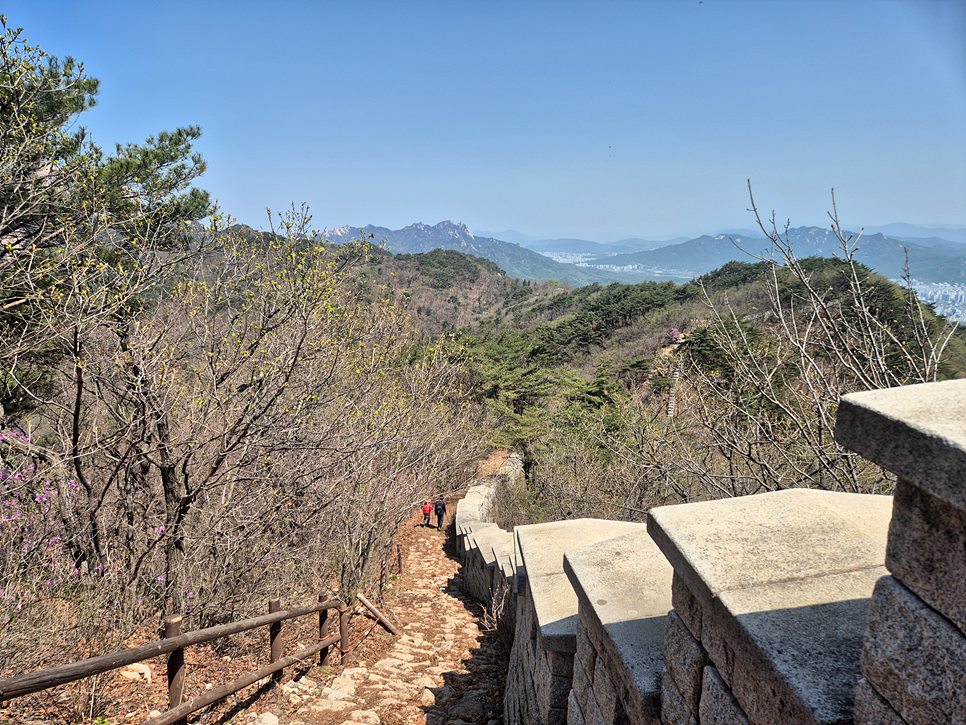 [북한산국립공원] 북한산, 칼바위 능선을 수놓은 진달래 풍경에 반하다