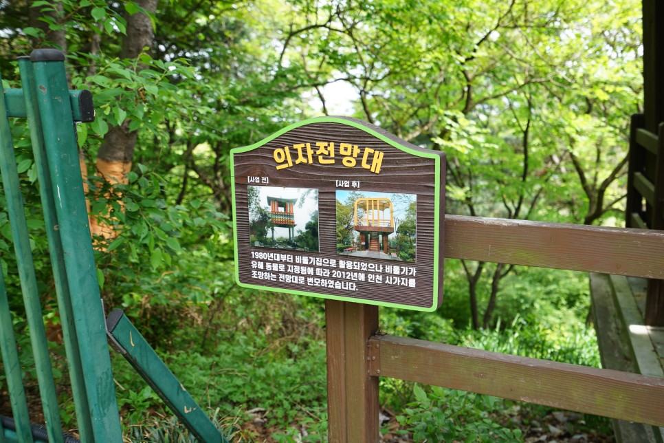 인천 수봉공원 인천 산책하기 좋은 공원 다녀왔어요