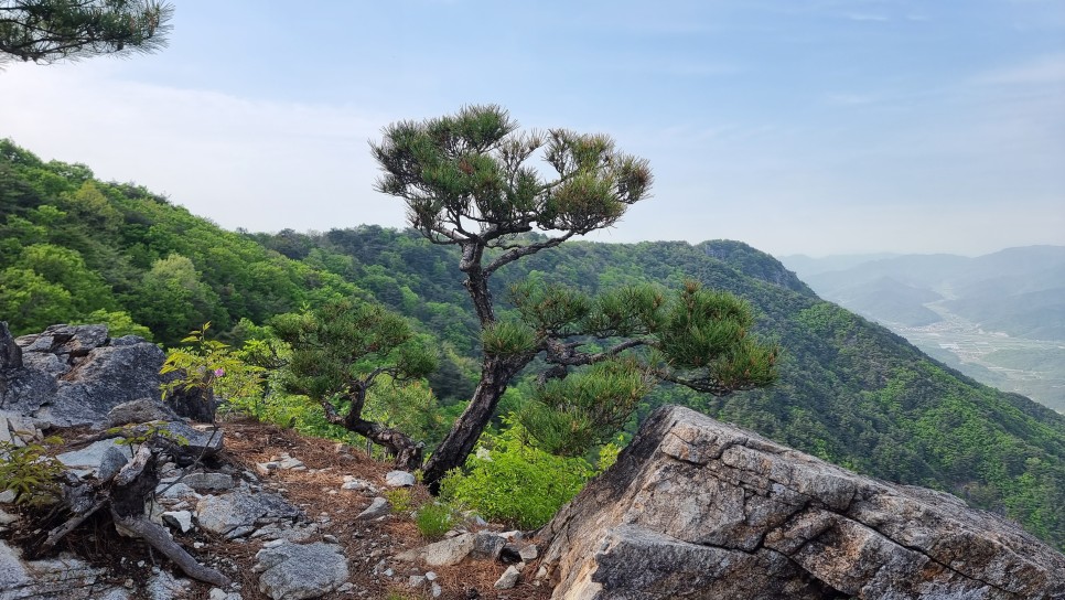 산청 필봉산 & 왕산 등산, 한방자연휴양림 최단코스 산행