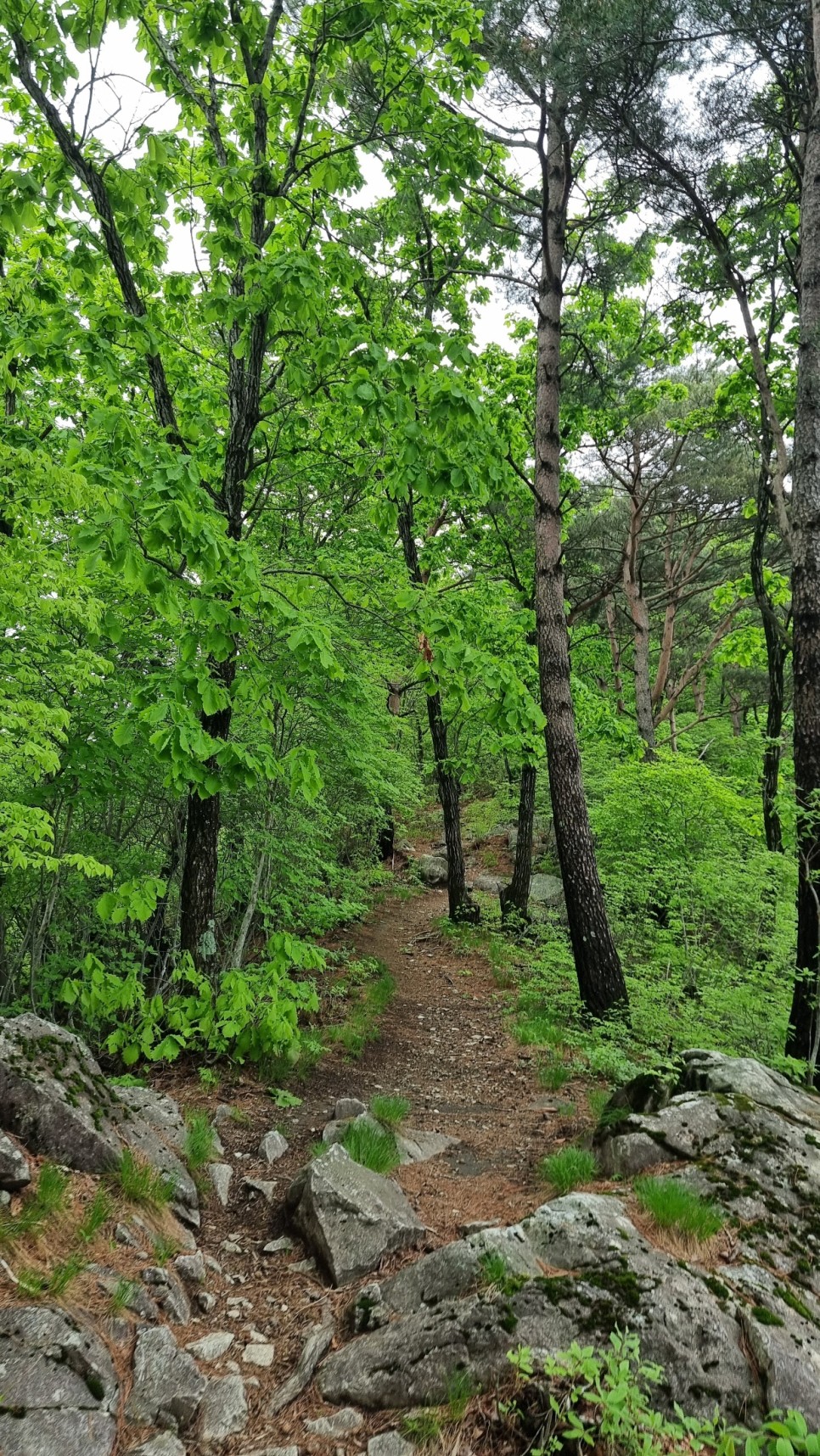 산청 필봉산 & 왕산 등산, 한방자연휴양림 최단코스 산행