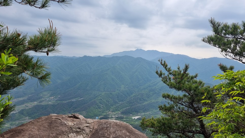 산청 필봉산 & 왕산 등산, 한방자연휴양림 최단코스 산행