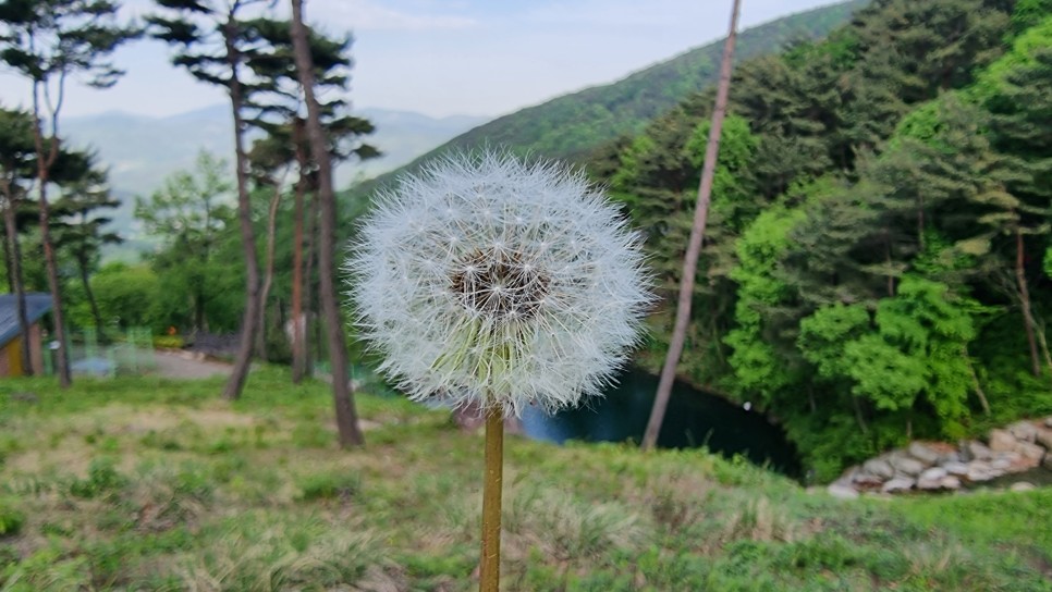 산청 필봉산 & 왕산 등산, 한방자연휴양림 최단코스 산행