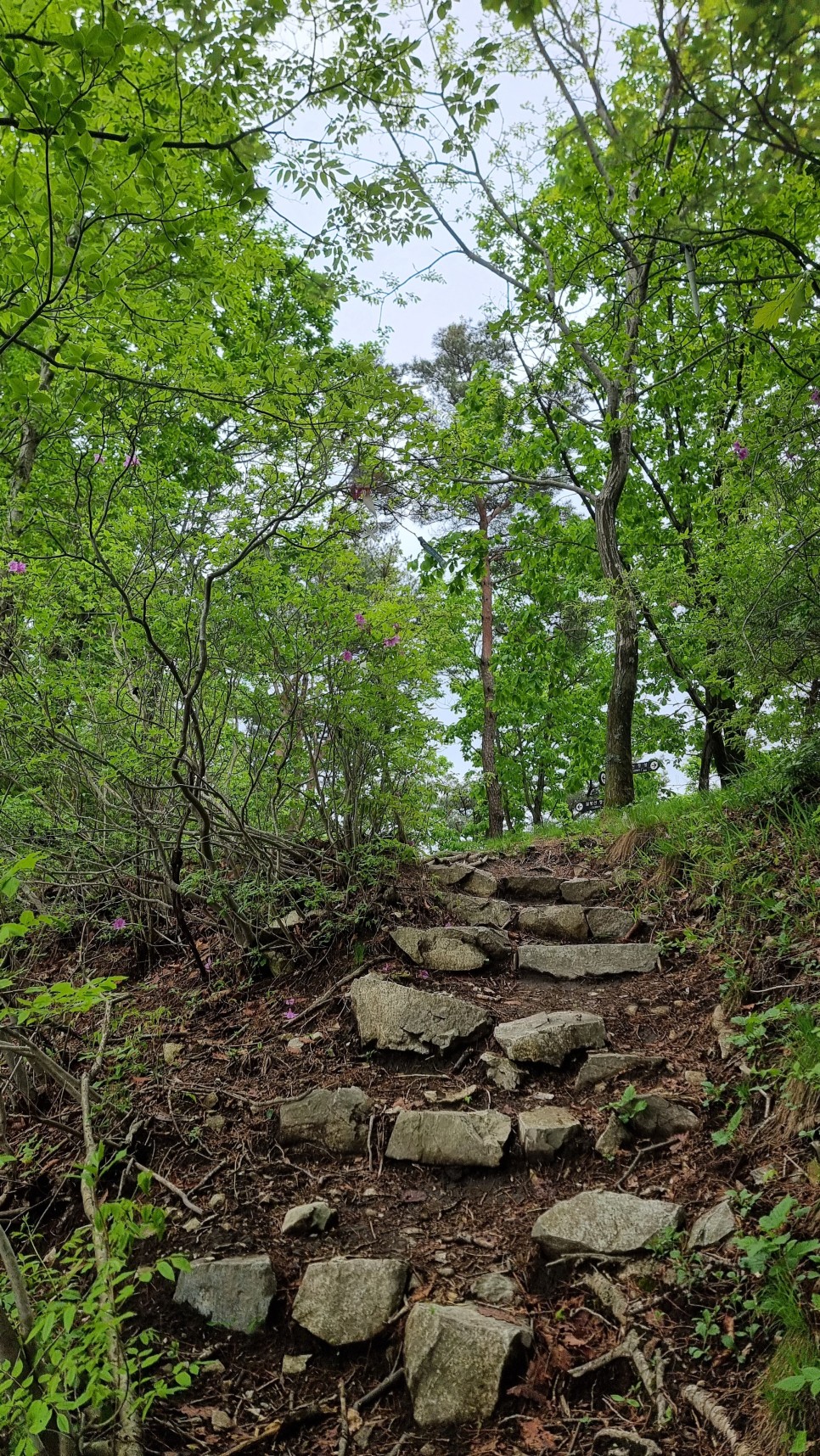 산청 필봉산 & 왕산 등산, 한방자연휴양림 최단코스 산행