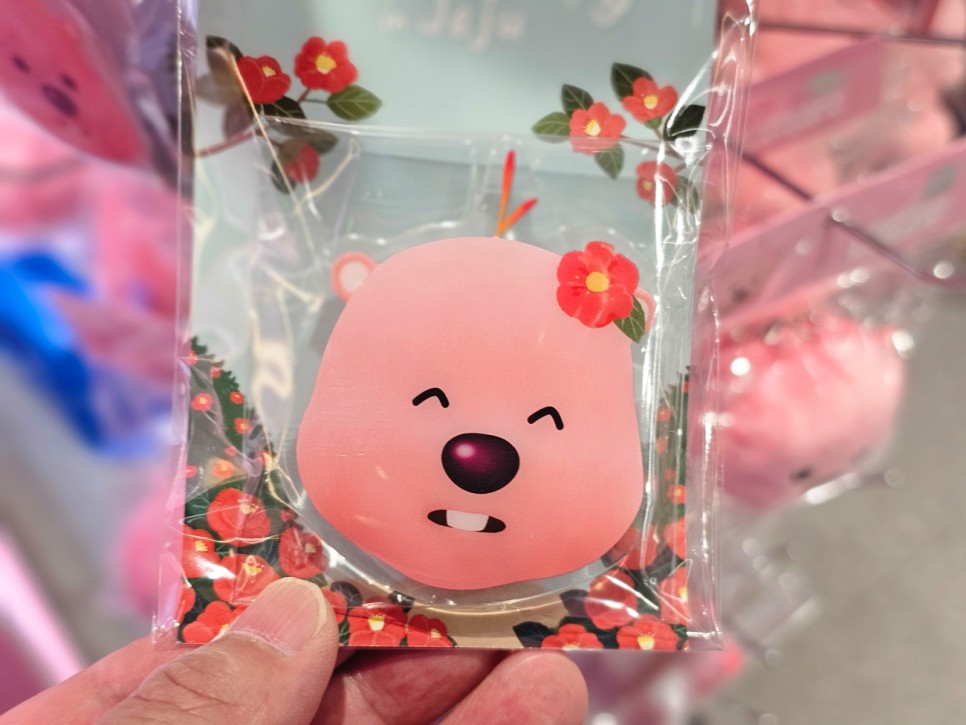 제주공항 면세점 잔망루피 소품샵 가정의달 선물 제주 한정판 기념품