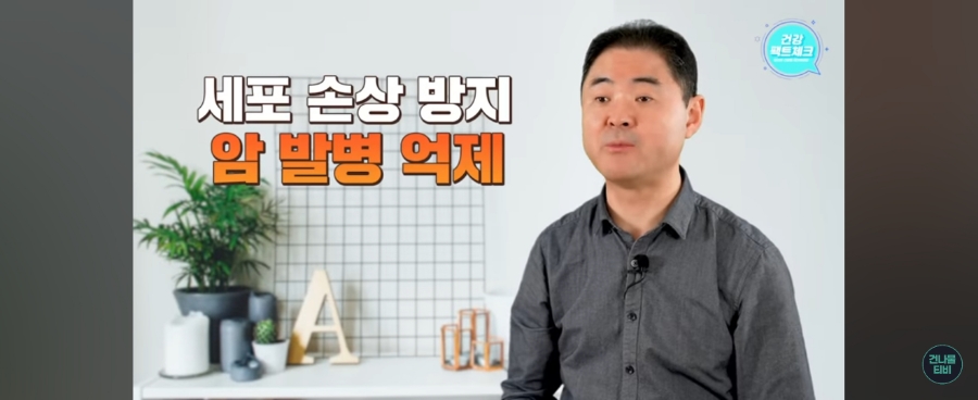 건나물티비 건강팩트체크 건강골드유튜브 잘 먹으면서 몸 속 가득 쌓인 내장지방 전부 녹아 사라지는 음식