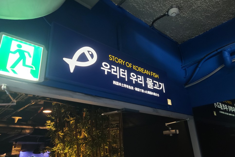 코엑스 아쿠아리움 민물고기, 해수어 등등 볼거리가 많은 서울 데이트코스!