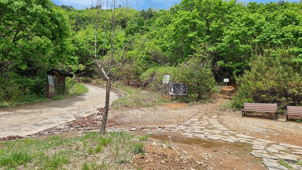 웅석봉 등산, 어천마을 원점회귀 최단코스 산행