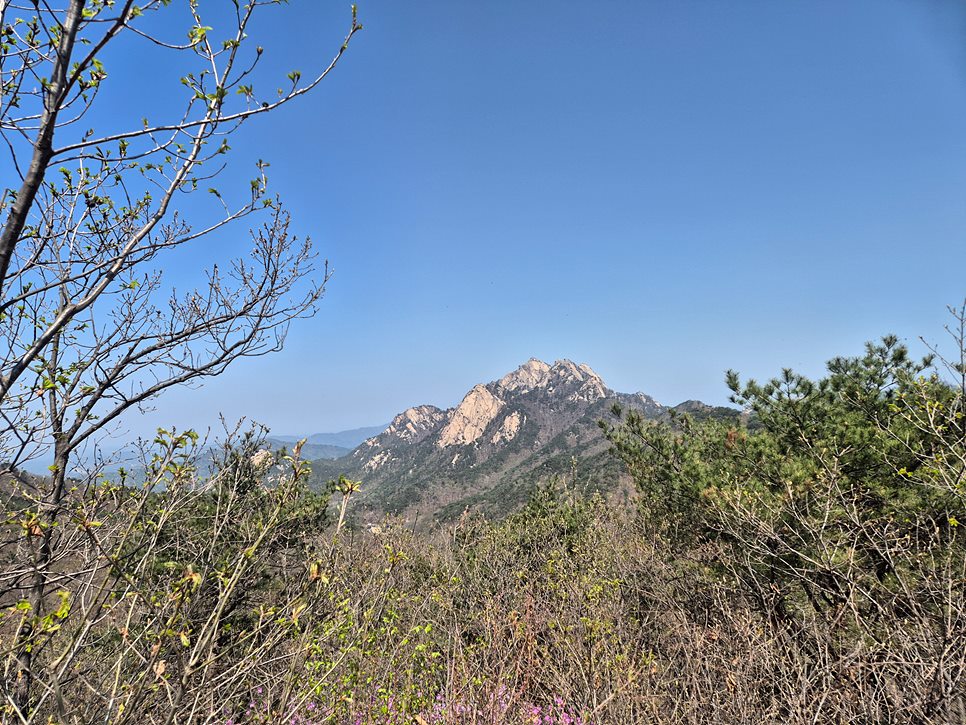 [북한산국립공원] 북한산, 칼바위 능선을 수놓은 진달래 풍경에 반하다