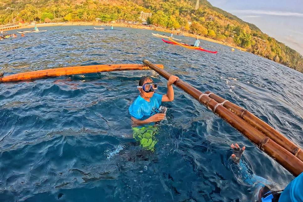 필리핀 세부 여행 오슬롭 고래상어 패키지 세부 캐녀닝 투어 가격