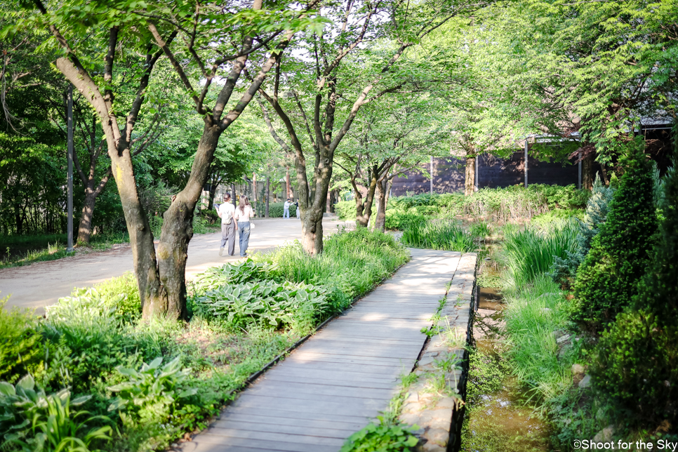 성수동 서울숲 자전거 돗자리 피크닉 숲길 작약꽃밭 데이트 놀거리
