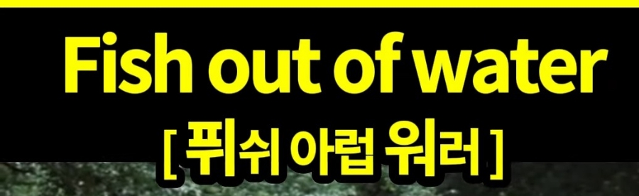 과천 할매와 귀 뚫리는 영어 불편해 하는 [퓌쉬 아럽 워러]  Fish out of water