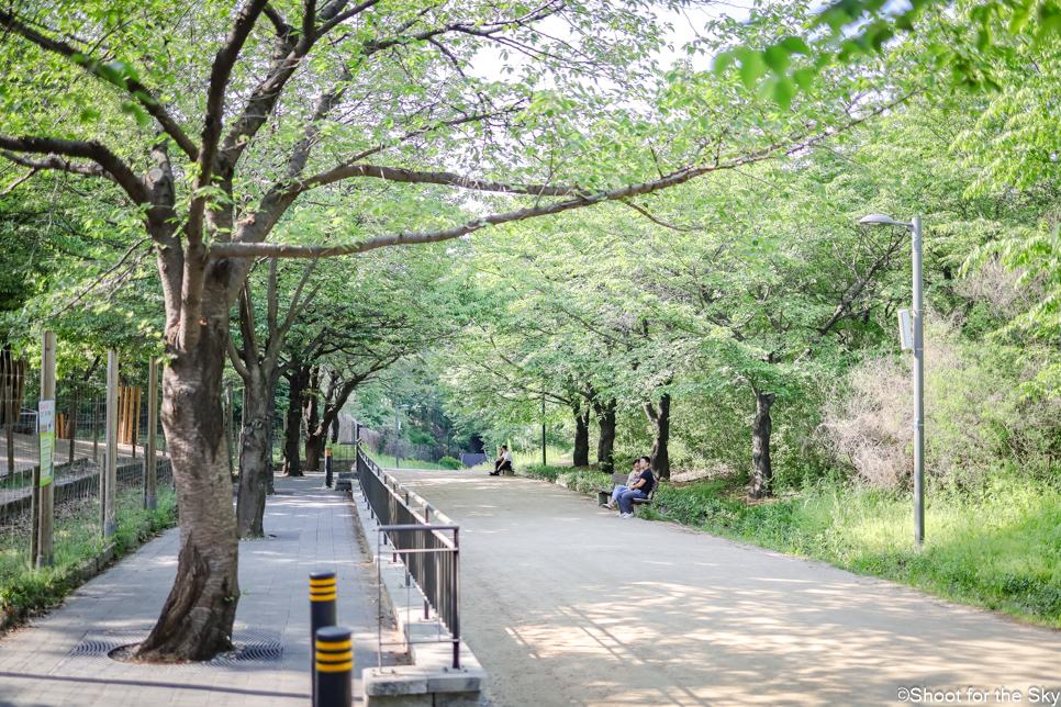 성수동 서울숲 자전거 돗자리 피크닉 숲길 작약꽃밭 데이트 놀거리