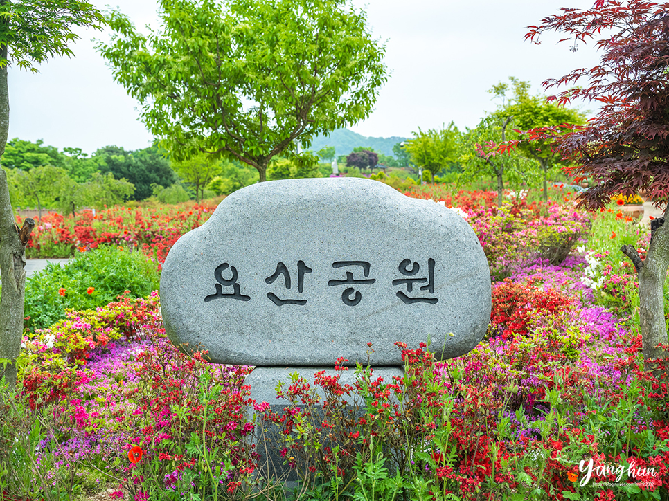 전북 임실 가볼만한곳 임실 요산공원 옥정호 출렁다리