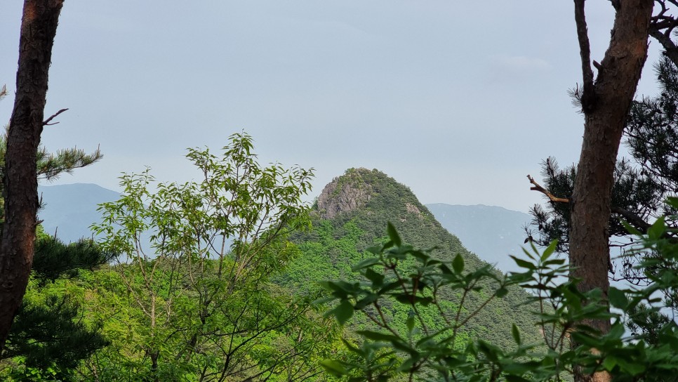 산청 필봉산 & 왕산 등산, 한방자연휴양림 최단코스 산행