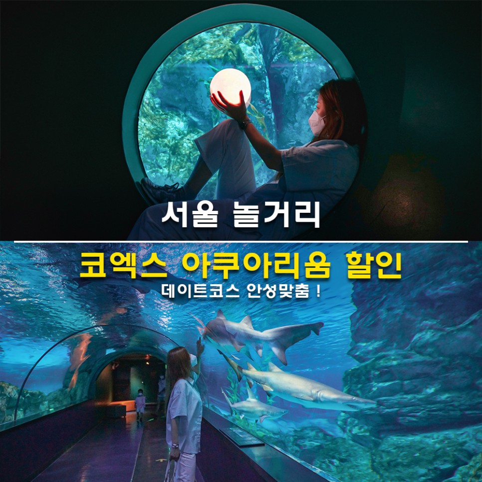 코엑스 아쿠아리움 할인 입장권 서울 놀거리 데이트코스 안성맞춤