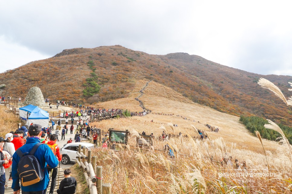 5월 울산 여행 코스 쇠부리축제 울산 아이와 가볼만한곳