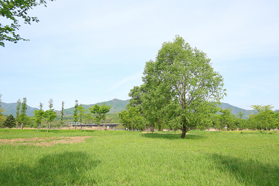 경기도 양평 가볼만한곳 아이와 서울근교 나들이 데이트코스