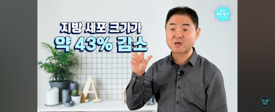 건나물티비 건강팩트체크 건강골드유튜브 잘 먹으면서 몸 속 가득 쌓인 내장지방 전부 녹아 사라지는 음식