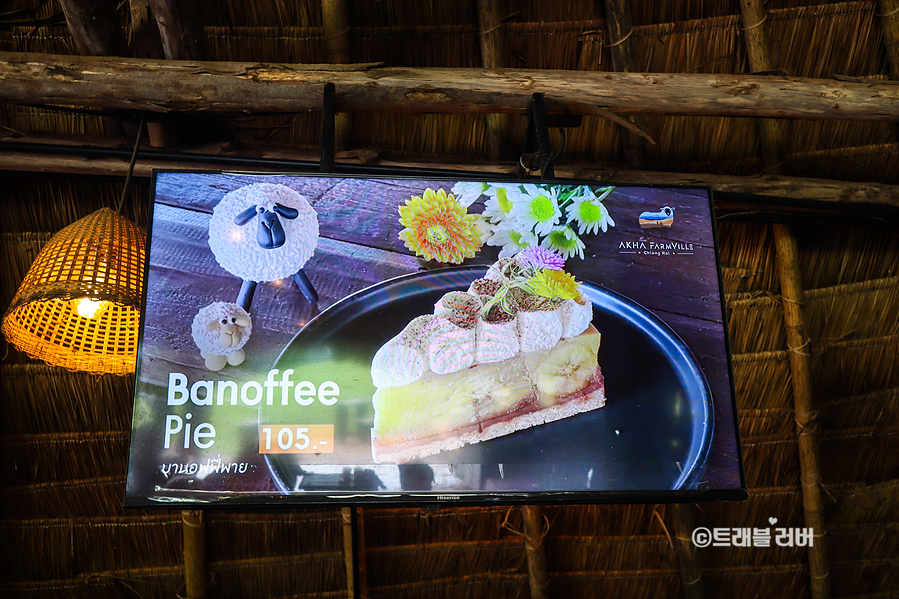 태국 여행 치앙라이 양떼목장 아카팜빌 카페