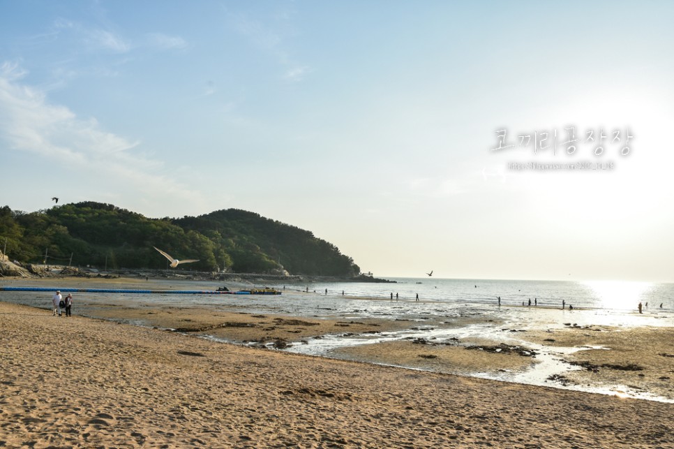 아이랑 서울근교 바다 다녀오기. 인천 을왕리해수욕장에서 모래놀이 물놀이 근황.
