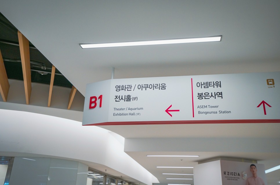 코엑스 아쿠아리움 할인 입장권 서울 놀거리 데이트코스 안성맞춤