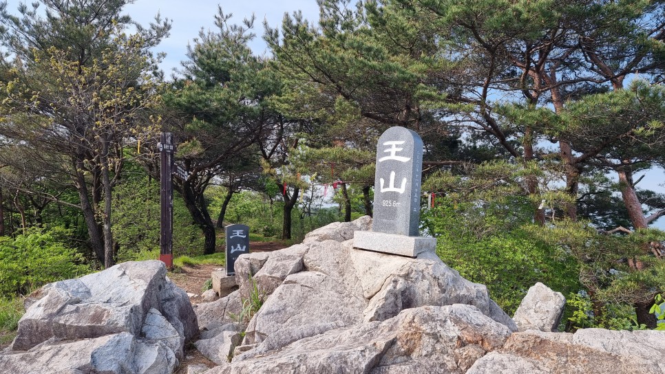 산청 필봉산 & 왕산 등산, 한방자연휴양림 최단코스 산행