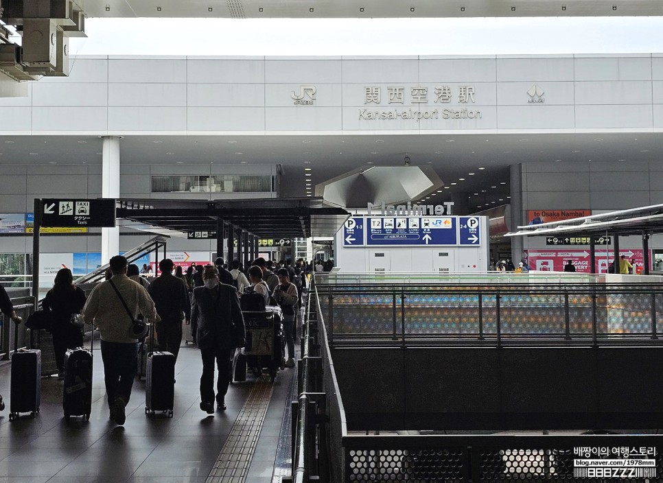 피치항공 후기 오사카 난카이 라피트 예약 시간표 타는곳 : 간사이공항에서 난바역