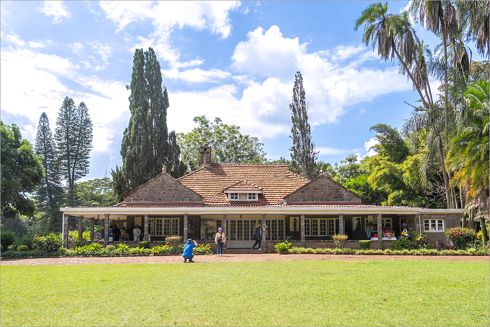 케냐 여행, 주요 명소 케냐 가볼만한곳 기린 센터 카렌블릭센 자연사 박물관
