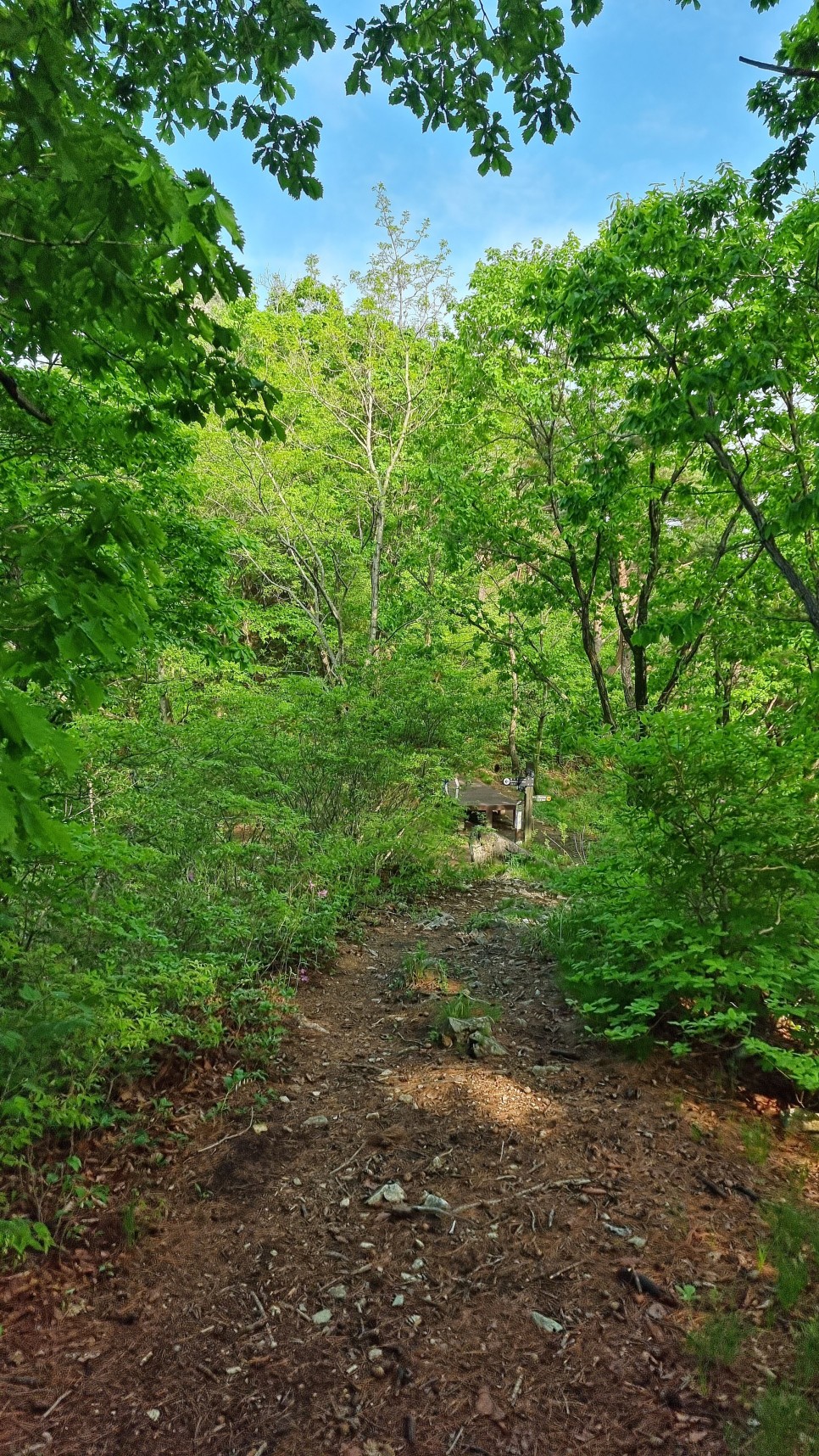 산청 필봉산 & 왕산 등산, 한방자연휴양림 최단코스 산행