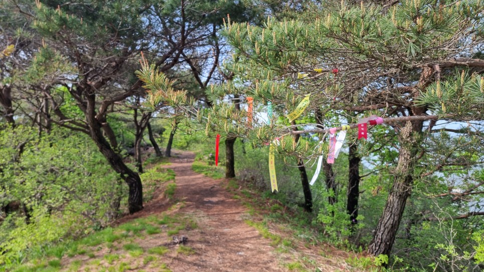 산청 필봉산 & 왕산 등산, 한방자연휴양림 최단코스 산행