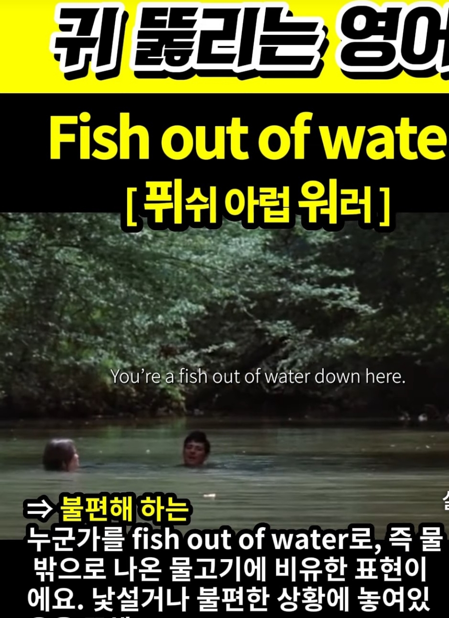 과천 할매와 귀 뚫리는 영어 불편해 하는 [퓌쉬 아럽 워러]  Fish out of water