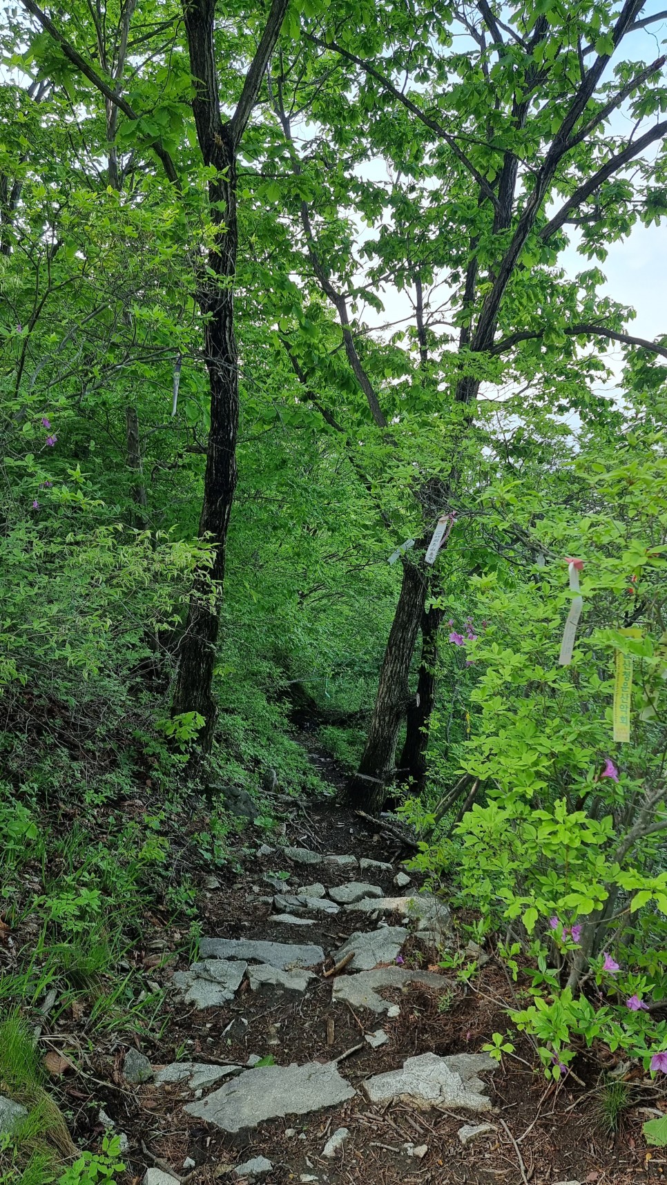 산청 필봉산 & 왕산 등산, 한방자연휴양림 최단코스 산행