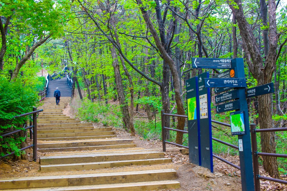 서울근교 등산 아차산 등산코스 정상 고구려대장간마을 원점코스