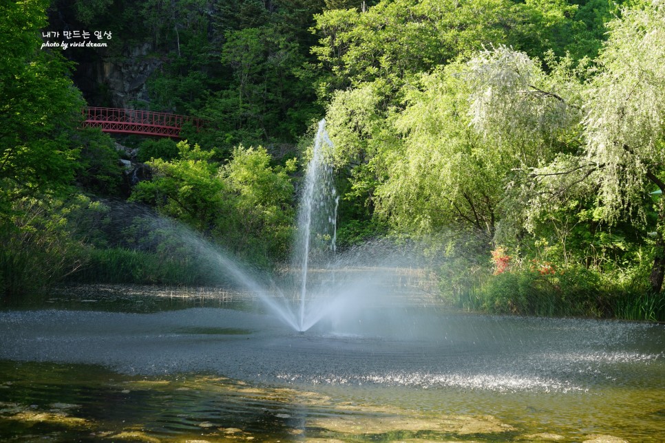 안동 여행지 사진찍기 좋은곳 비밀의 숲 낙강물길공원