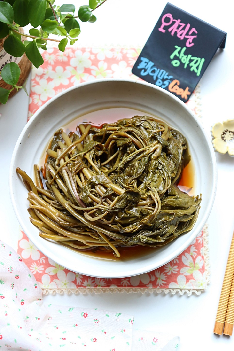 오가피장아찌 오가피순 장아찌 만드는 법 봄나물 장아찌 종류 오가피나물 요리