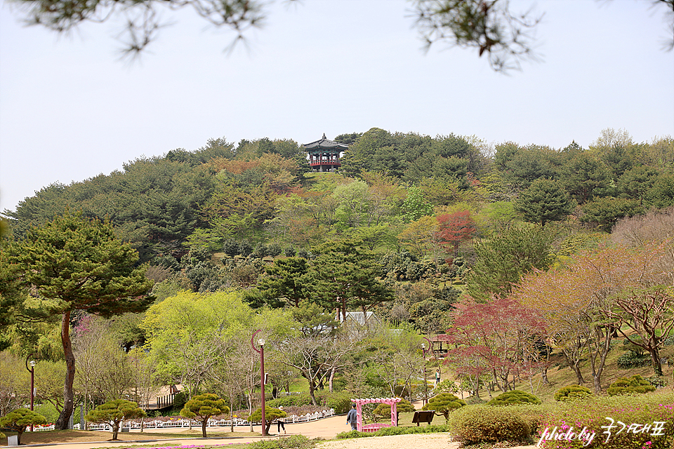 충청도 여행 안면도 갈만한곳 안면도수목원 입장료