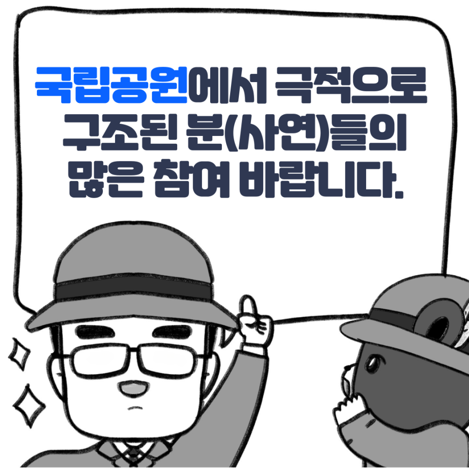 '살아난 자, 살려낸 자' 국립공원에서 극적으로 구조된 분(사연)을 찾습니다!