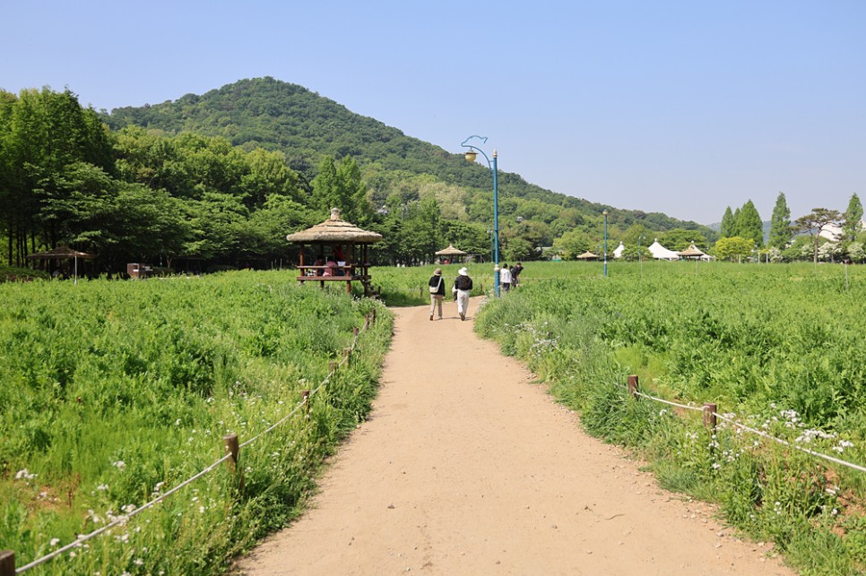 인천 갈만한곳 야외 봄 데이트 주말 나들이 인천대공원 텐트 산책로 관광지