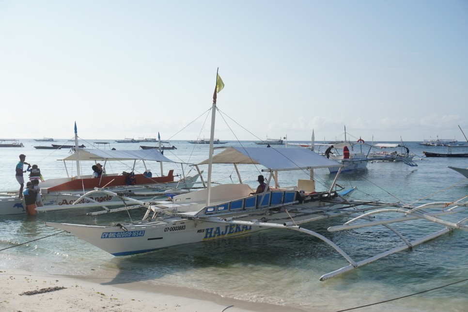 필리핀 보홀 호핑투어 발리카삭 & 고래상어 투어 가격, 여행 준비물