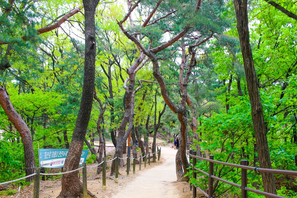 서울근교 등산 아차산 등산코스 정상 고구려대장간마을 원점코스